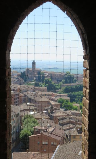 View from the Torre, Siena.